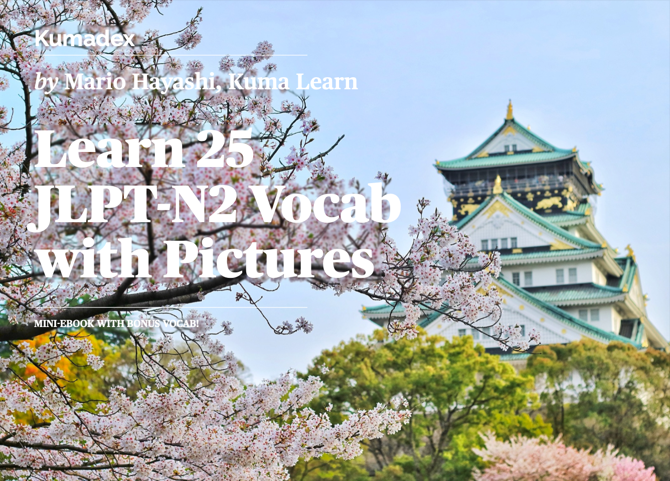 Learn 25 JLPT-N2 Vocab with Pictures