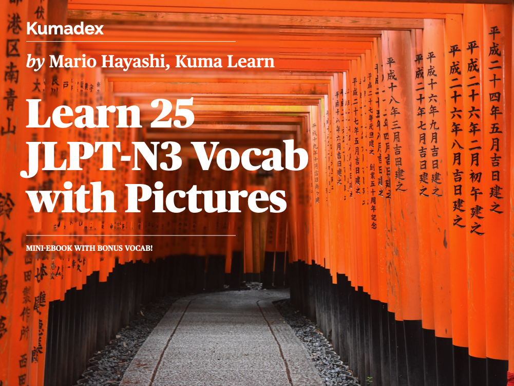 Learn 25 JLPT-N3 Vocab with Pictures